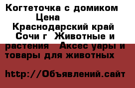 Когтеточка с домиком › Цена ­ 9 800 - Краснодарский край, Сочи г. Животные и растения » Аксесcуары и товары для животных   